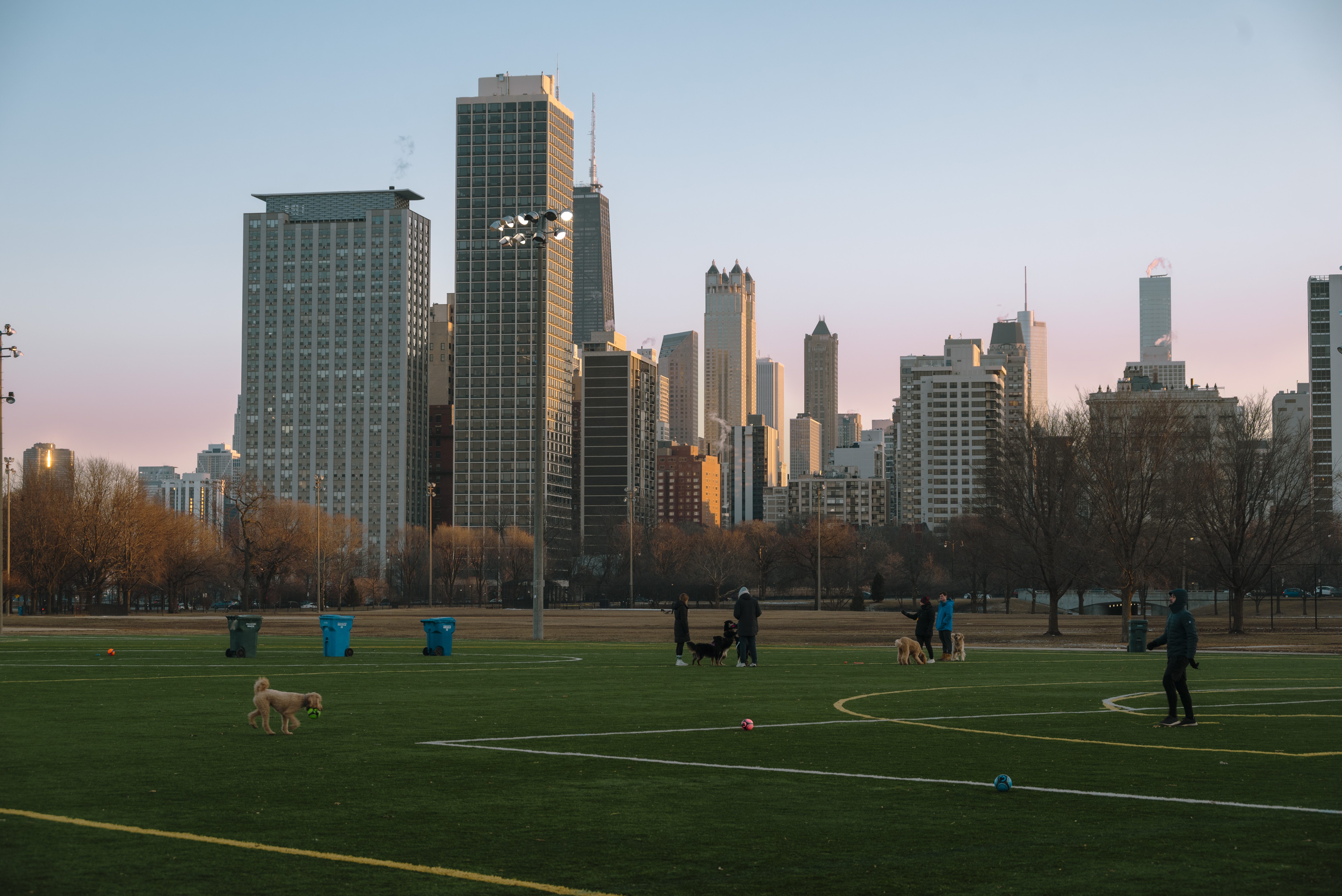 Chicago skyine from lincoln park