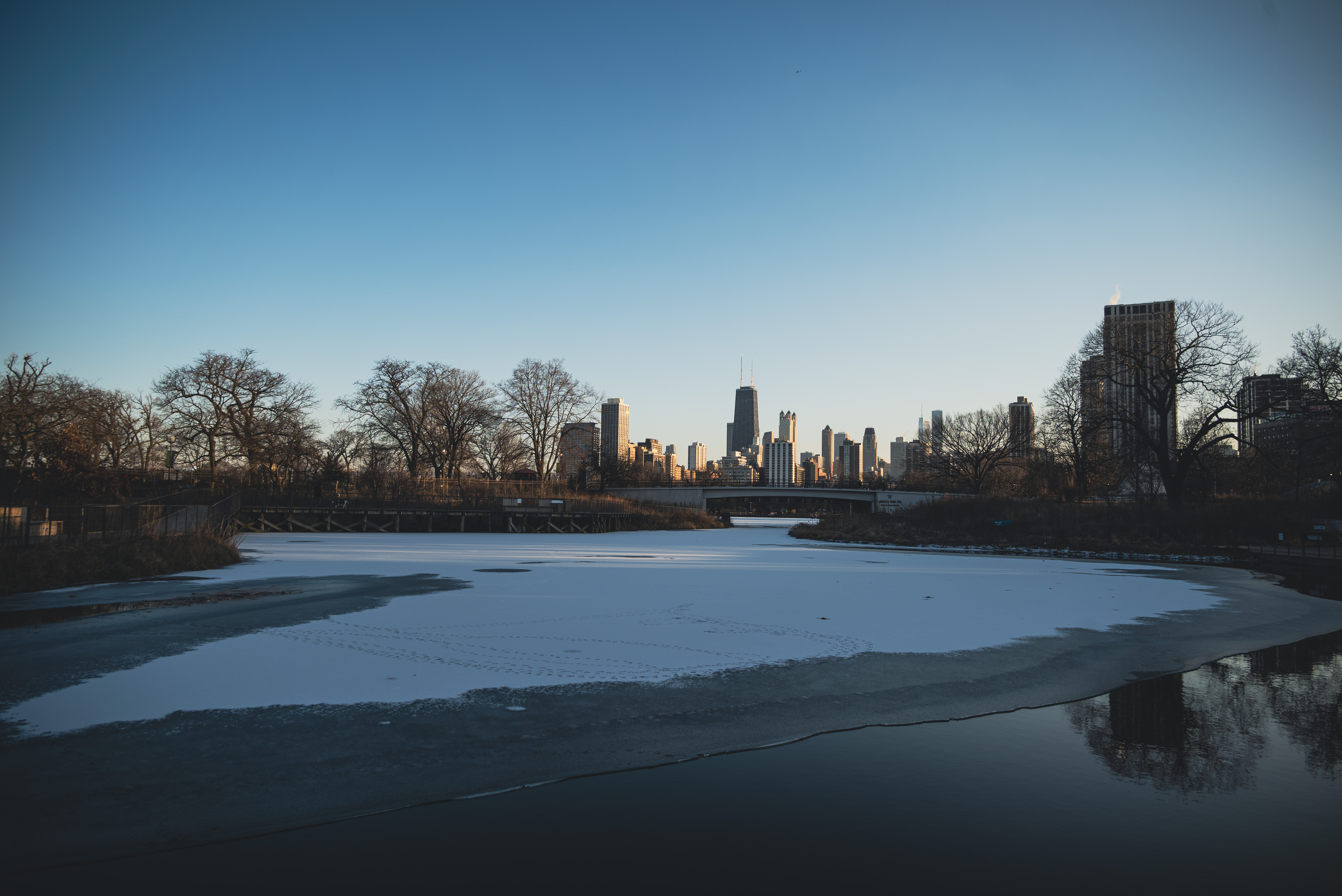 Chicago skyine from lincoln park