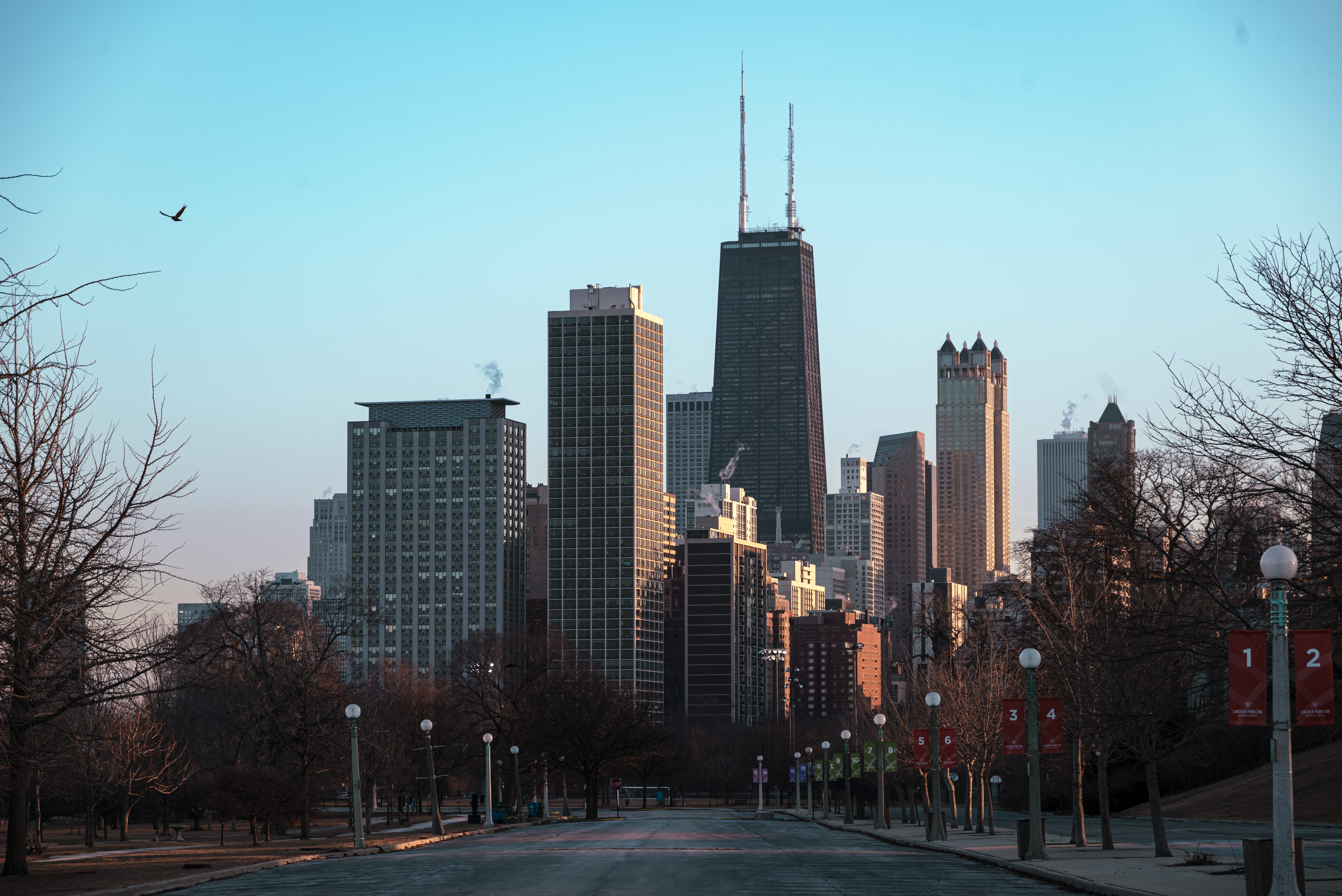 Chicago skyine from lincoln park