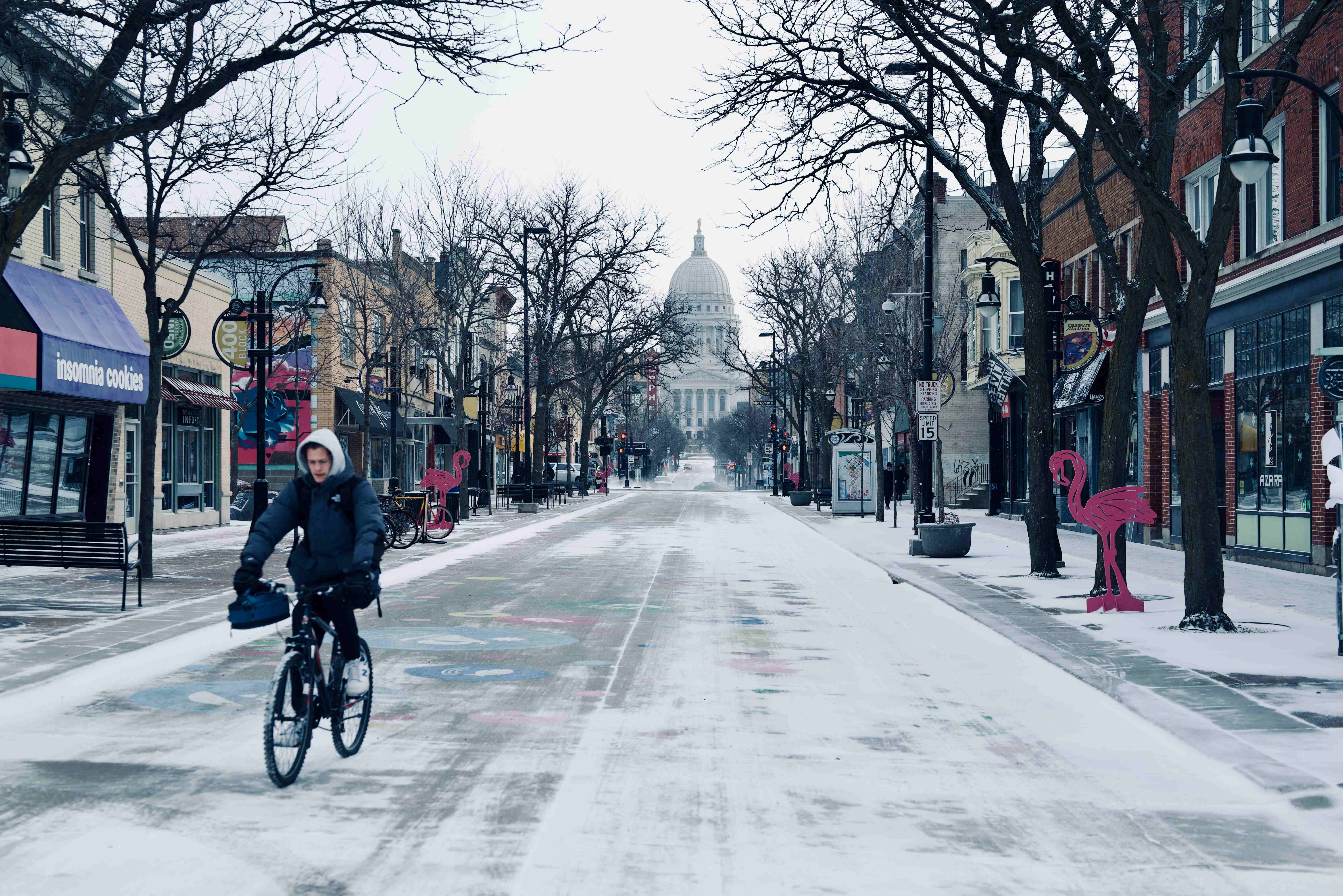 Wisconsin State Capital